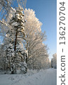 Trees covered with snow and snowdrifts around 136270704