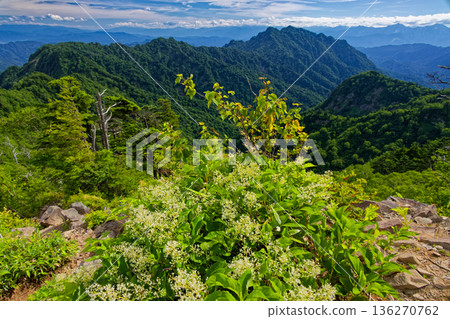 Mt. Togakushi seen from the ridge of Mt. Takatsuma with dogwood flowers in bloom Mt. Togakushi seen from the ridge of Mt. Takatsuma with dogwood flowers in bloom 136270762