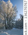 Trees covered with snow and snowdrifts around 136270767