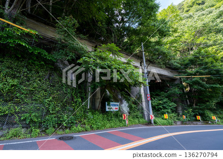 【小河內線】廢棄鐵路線上的一座橋樑，與國道平行 136270794