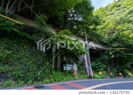 【小河內線】廢棄鐵路線上的一座橋樑,與國道平行 【小河內線】廢棄鐵路線上的一座橋樑,與國道平行 136270795