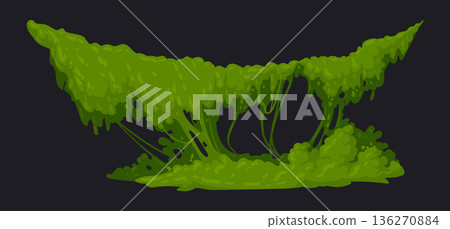 Cartoon jungle moss. Hanging and creeping lichen and moss, green moss plant flat vector illustration. Rainy forest flora on white Cartoon jungle moss. Hanging and creeping lichen and moss, green moss plant flat vector illustration. Rainy forest flora on white 136270884