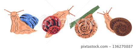 Cute snails. Cartoon slow little slugs inside spiral snail shell, garden gastropod snail flat vector illustration set. Colorful snail animals on white 136270887