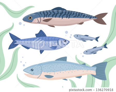 Ocean fish. Cartoon sea food tuna, trout and sardines, sea fish, delicious ocean seafood flat vector illustration set. Marine underwater fauna Ocean fish. Cartoon sea food tuna, trout and sardines, sea fish, delicious ocean seafood flat vector illustration set. Marine underwater fauna 136270918
