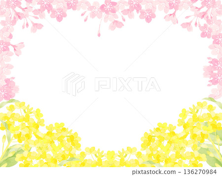 春日里油菜花和櫻花盛開的景象 春日里油菜花和櫻花盛開的景象 136270984