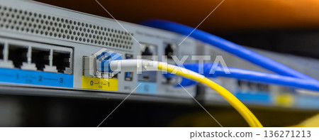 Network cables connected to switches. 136271213