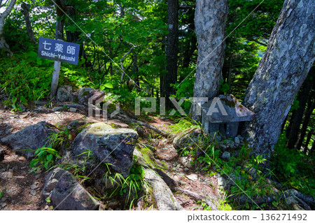 七藥師神社位於從戶隱山到高妻山的登山道旁。 七藥師神社位於從戶隱山到高妻山的登山道旁。 136271492