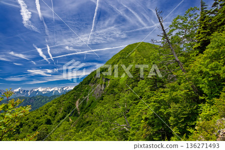 從戶隱山登山道上眺望，可以看到高妻嶽山頂峰和北阿爾卑斯山脈的後立山山脈。 136271493