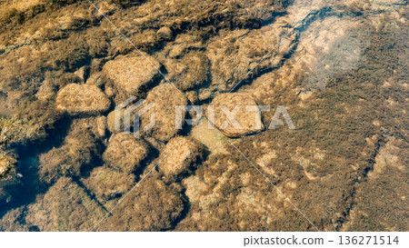 Sunlit Stones Under Clear Shallow Water Sunlit Stones Under Clear Shallow Water 136271514