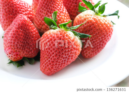 盤子裡的草莓 136271631