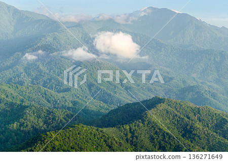 Aerial View of Pristine Mountain Forest Landscape Showcasing Vast Green Canopy and Natural 136271649