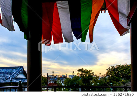 [Tokyo] Nishiarai Daishi Temple in early spring: Sunset and five-colored curtains seen from the main hall 136271680