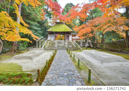 法然院的白沙平台、寺門和秋葉 136271742