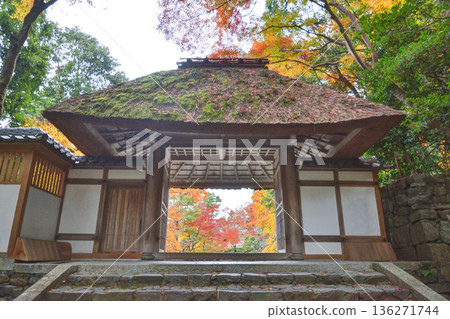 Honen-in Temple's Sanmon Gate and autumn leaves Honen-in Temple's Sanmon Gate and autumn leaves 136271744