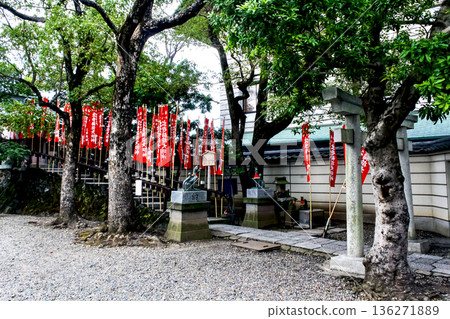 [Tokyo] Early Spring at Nishiarai Daishi Temple - Shusse Inari Shrine 136271889