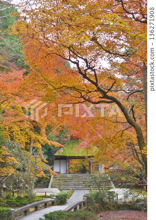 法然院的白沙平台、寺門和秋葉 法然院的白沙平台、寺門和秋葉 136271908