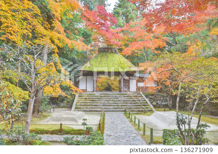 法然院的白沙平台、寺門和秋葉 136271909