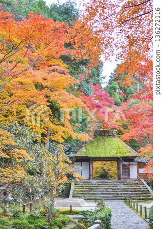 法然院的山門和秋葉 法然院的山門和秋葉 136272116