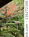 Keishun-in Temple, a subtemple of Myoshinji Temple, in late autumn, and the Garden of Meditation (Ukyo Ward, Kyoto City) 136272166