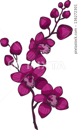 branch with purple orchid flowers, vector illustration branch with purple orchid flowers, vector illustration 136272301
