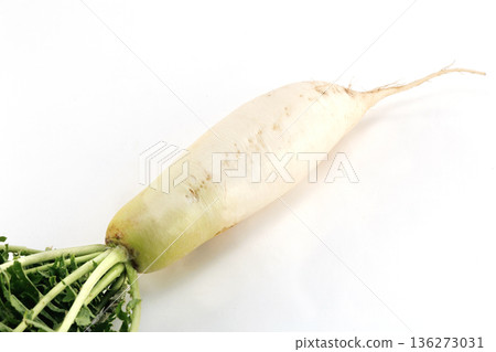 新鮮的蘿蔔 136273031