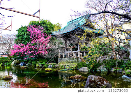 【東京】初春時節的西新井大師寺:伊呂波池與鐘樓 【東京】初春時節的西新井大師寺:伊呂波池與鐘樓 136273063