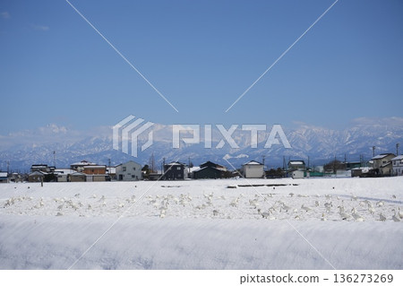 Spectacular views of the Tateyama mountain range in winter Spectacular views of the Tateyama mountain range in winter 136273269