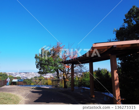 名古屋小高綠園的秋景：從若草山展望台眺望 136273315