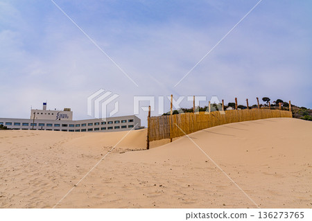 （靜岡縣）冬季伊豆白濱海岸，沙灘，沙堤 136273765