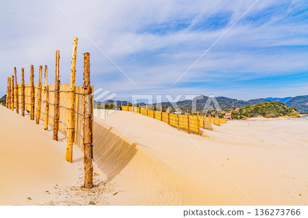 (靜岡縣)冬季伊豆白濱海岸,沙灘,沙堤 (靜岡縣)冬季伊豆白濱海岸,沙灘,沙堤 136273766