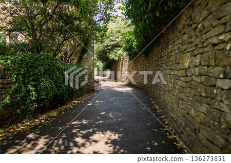 A narrow shaded garden pathway with stone walls and overhanging greenery. 136273851