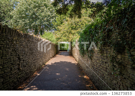 A countryside footpath lined with stone walls and lush overhanging vegetation. 136273853