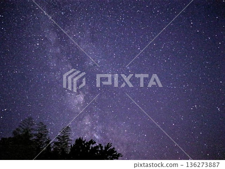 Starry sky seen from the forest Starry sky seen from the forest 136273887