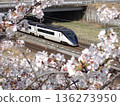 Skyliner surrounded by cherry blossoms 136273950