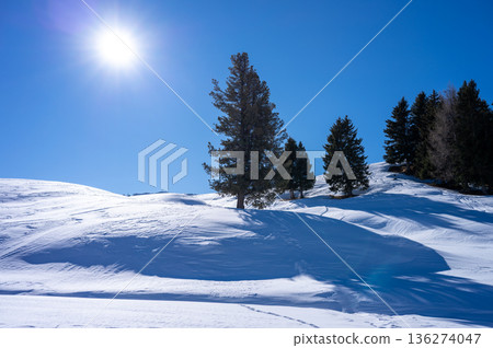 Bright sun shines on a serene winter landscape of snow-covered hills and evergreen trees Bright sun shines on a serene winter landscape of snow-covered hills and evergreen trees 136274047
