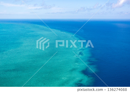 Aerial view of a vibrant coral reef in clear blue ocean. Great Barrier Reef, Australia 136274088