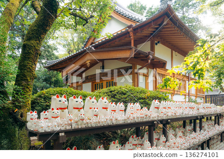 Maneki neko statues at a Japanese temple in Tokyo, Japan, offering good fortune Maneki neko statues at a Japanese temple in Tokyo, Japan, offering good fortune 136274101
