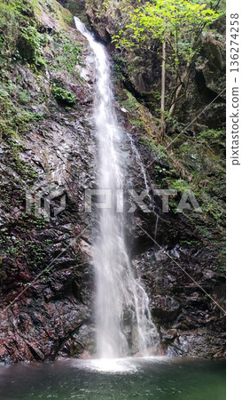 Kanazawa Falls 136274258
