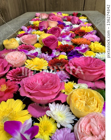 January flower water basin (roses, chrysanthemums, and gerberas) at Sugao Shrine in Okazaki, Aichi Prefecture 136274842
