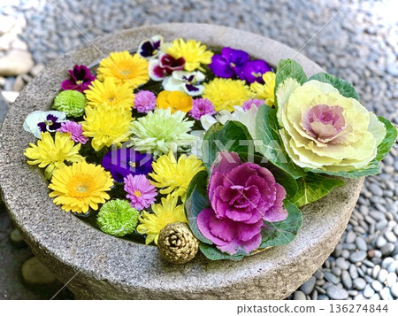 愛知縣岡崎市菅尾神宮一月花噴泉(牡丹、三色堇、松果、菊花) 愛知縣岡崎市菅尾神宮一月花噴泉(牡丹、三色堇、松果、菊花) 136274844