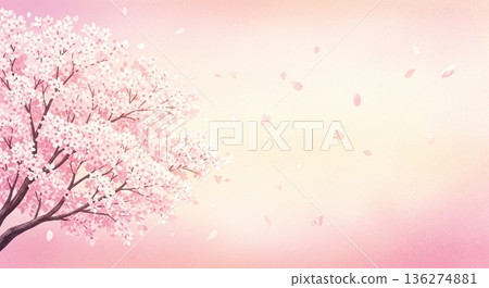 櫻花樹和花瓣籠罩在淡淡的光芒中，構成了一幅美麗的背景。 136274881
