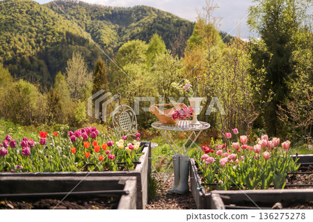 Spring tulip garden with rustic table in mountain countryside Spring tulip garden with rustic table in mountain countryside 136275278