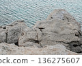 Rugged coastal limestone rocks with textured surfaces by the sea, gentle waves 136275607
