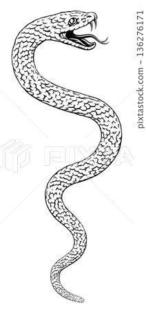 Snake Coiled Serpent Vintage Style Illustration Snake Coiled Serpent Vintage Style Illustration 136276171