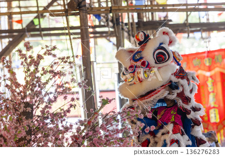 chinese cantonese lion dancing in Hong Kong, Yuen long chinese cantonese lion dancing in Hong Kong, Yuen long 136276283