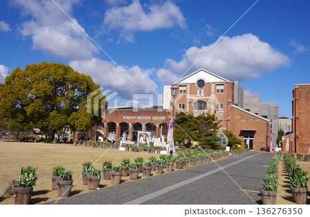 兵庫縣淡路島洲本手工藝廣場冬季鬱金香展 兵庫縣淡路島洲本手工藝廣場冬季鬱金香展 136276350