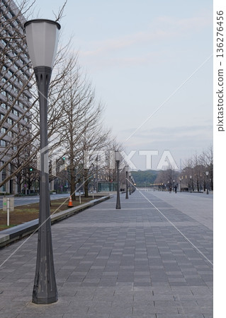 冬日里美麗的林蔭大道 冬日里美麗的林蔭大道 136276456