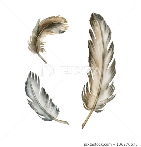 Bird Feather Set. Watercolor hand drawn illustration isolated on white background for Easter decor spring boho beige design rural cottagecore style card postcard poster print home textile package 136276673