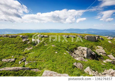 grassy alpine meadow in carpathian mountain landscape. sharp rocks and huge boulders among lush green grass on rolling hills. open space scenery for wanderlust and exploration on a sunny day grassy alpine meadow in carpathian mountain landscape. sharp rocks and huge boulders among lush green grass on rolling hills. open space scenery for wanderlust and exploration on a sunny day 136276857
