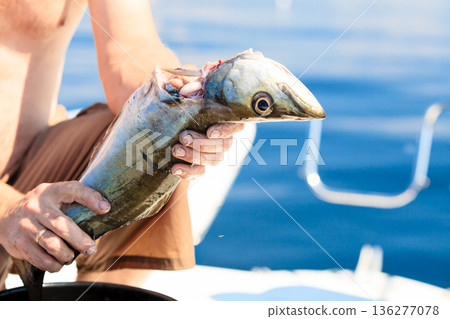 saltwater fishing - man cleaning fish outdoor saltwater fishing - man cleaning fish outdoor 136277078